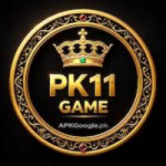 PK11 Game