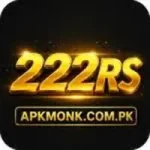 222RS Game