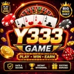 Y333 Game
