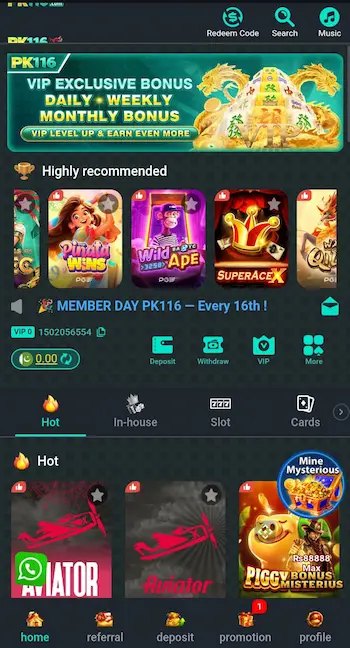 PK116 Game image