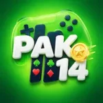 Pak114 Game